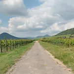 Altes Pfarrhaus - Kelterhaus * Gleisweiler