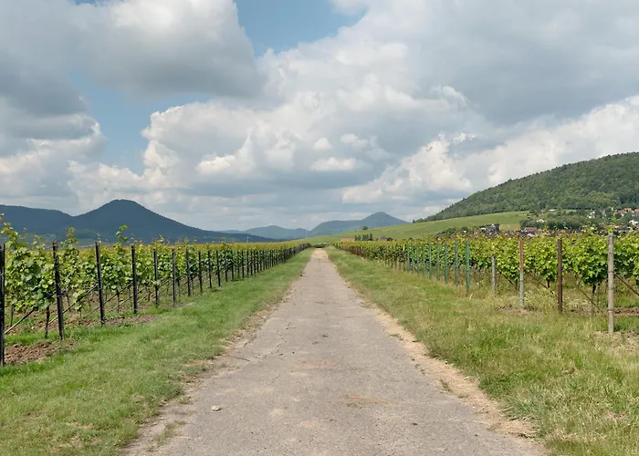 Apartment Altes Pfarrhaus - Kelterhaus *