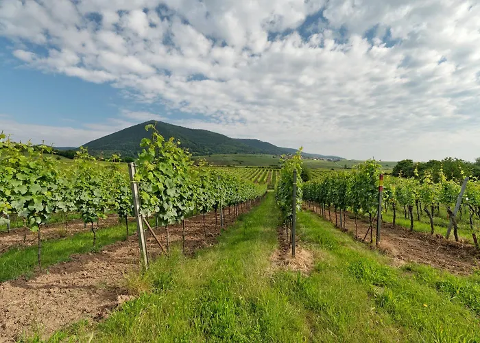 Altes Pfarrhaus - Kelterhaus Apartment